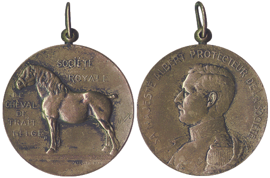Bronzen medaille of onderscheiding