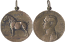 Bronzen medaille of onderscheiding